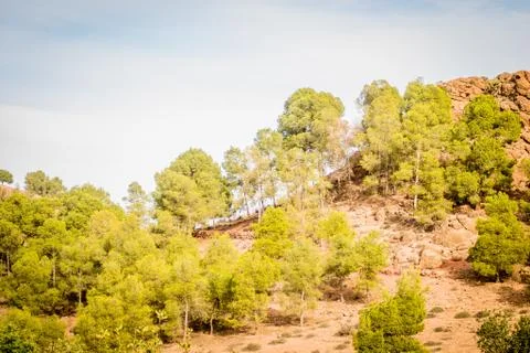 Day in the forest Stock Photos