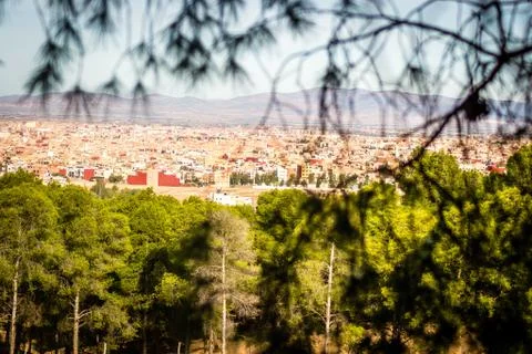 Day in the forest Stock Photos