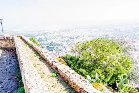 Day in the forest Stock Photos