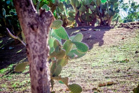 Day in the forest Stock Photos