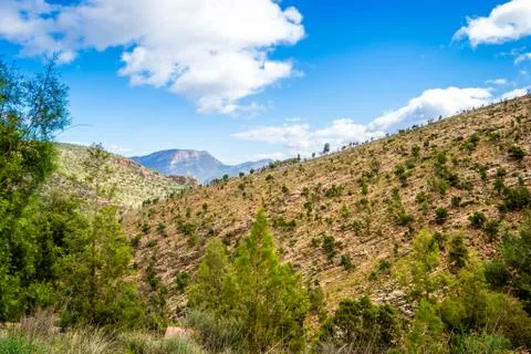 Day in the forest Stock-Fotos