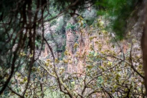 Day in the forest Foto stock