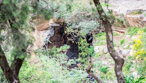 Day in the forest Stock Photos