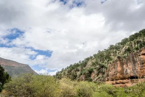 Day in the forest Stock Photos