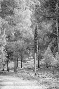 Day in the forest Stock Photos