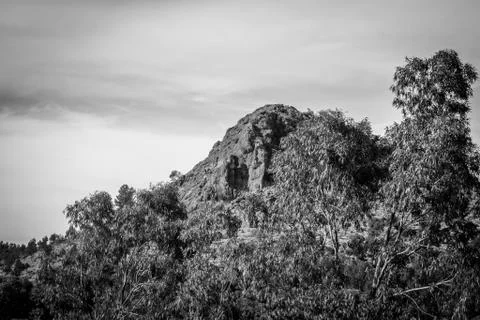 Day in the forest Foto stock