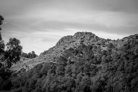 Day in the forest Stock Photos