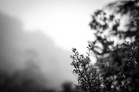 Day in the forest Stock-Fotos