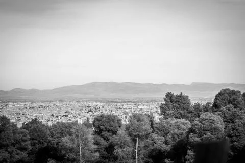 Day in the forest Stock Photos