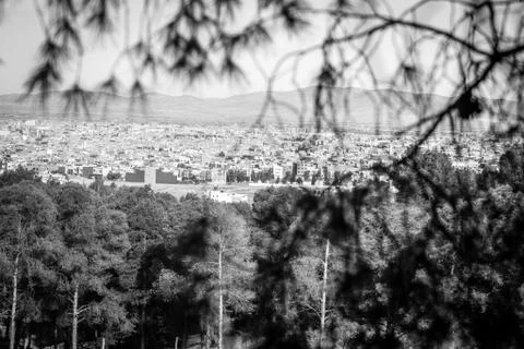 Day in the forest Stock Photos