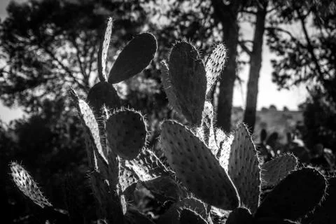 Day in the forest Stock Photos