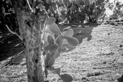 Day in the forest Stock Photos