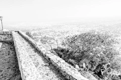 Day in the forest Stock Photos