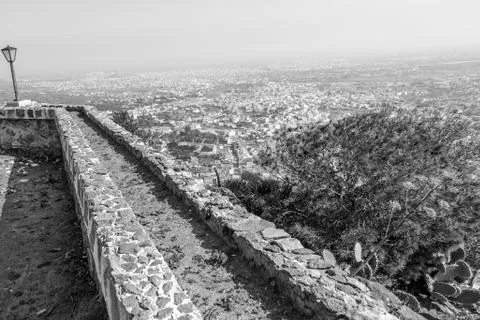 Day in the forest Stock Photos