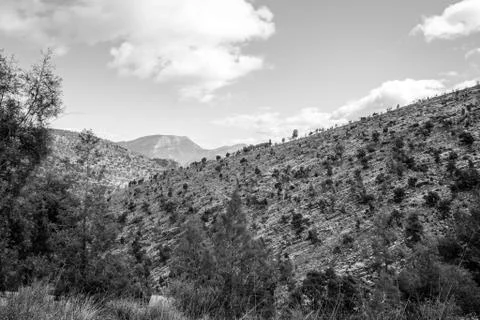 Day in the forest Stock Photos