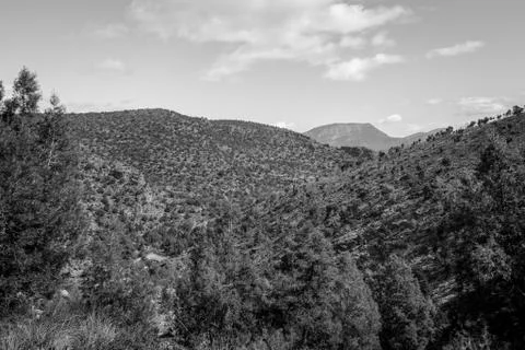 Day in the forest Stock-Fotos