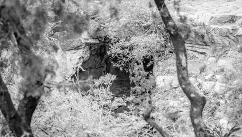 Day in the forest Stock Photos