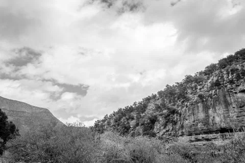 Day in the forest Stock Photos