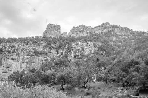 Day in the forest Stock Photos