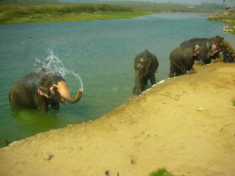 A day in the forest Stock Photos