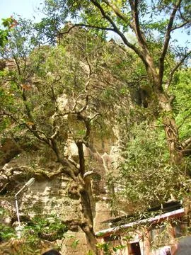 A day in the forest Stock Photos