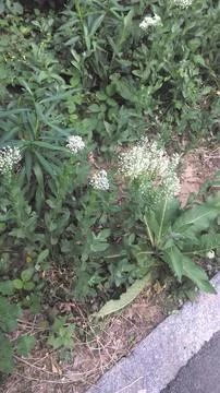 Day in the forest Stock Photos