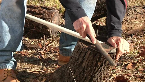 Day hardworking laborer ax committed outdoors good health stock footage video Stock Footage 145578521