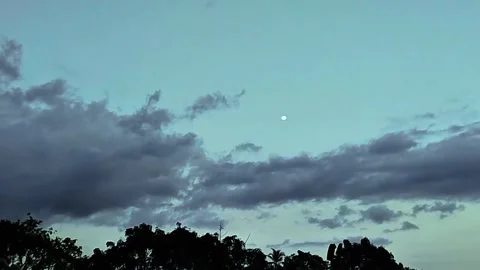 Day moon on the sky Stock Footage 319053444