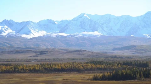 Day in the mountains. forest in the foreground, snow-capped mountains in the Stock Footage 102433546