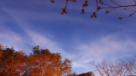 Day to night Campfire moon haze v2 Stock Footage 44981143