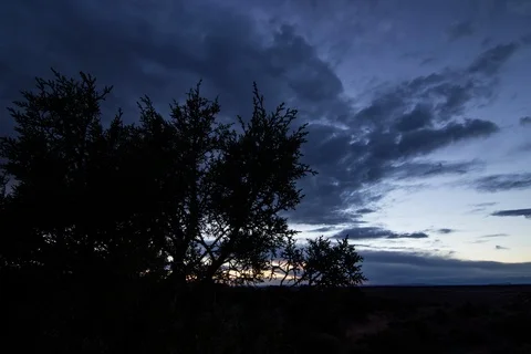 Day to Night Motion Control Timelapse - Juniper and Utah Desert Stock Footage 107889441
