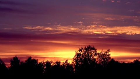 Day to night sky time lapse with trees illuminated by sunset. Vidéo 108442964