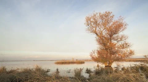 Day to Night Time Lapse of Clouds Over a Small Lake Stock Footage 55809845