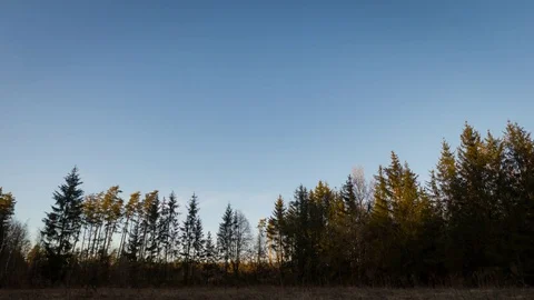 From day to night time lapse with forest and sunset sky Stock Footage 79843125