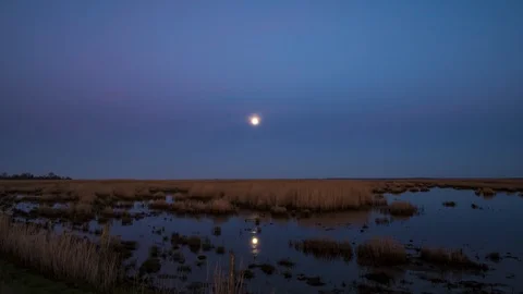 Day to night time lapse of full moon rising and sun setting with a moor Video stock 129772780