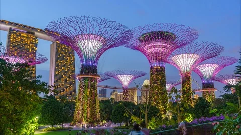 Day to night Time-lapse motion of Trees gardens by the bay at Singapore Stock Footage 94503963