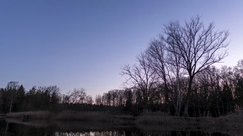 Day to night time lapse of the night sky in the forest with a lake Video stock 127445782
