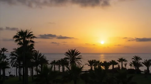 Day to night time lapse. Palm tree beach with hot tropical sunset background Stock Footage 201436159