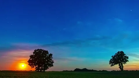 Day to night transition time lapse showing trees and bright starry sky Vídeo Stock 331408205