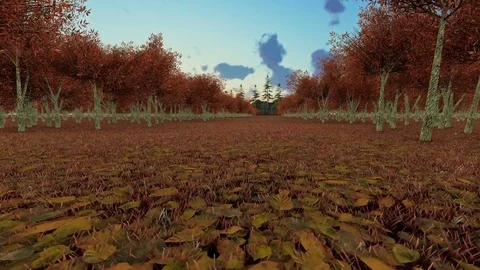 Day to night,big moon over the forrest Stock Footage 70507987
