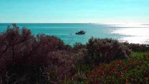 A day in the ocean Stock Footage 282864185