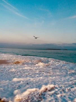 A day in paradise 写真素材