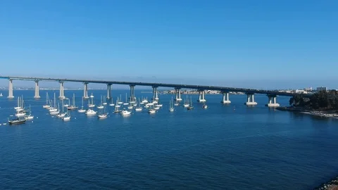 Day at the park. Stock Footage 113895686