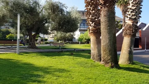 A day in the park Stock Footage 201422862