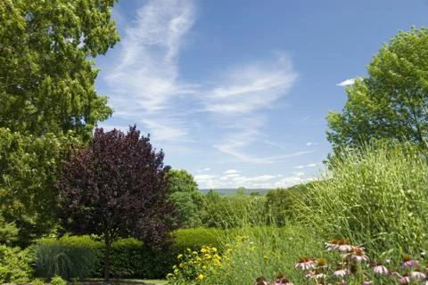 Day at the park. Stock Photos