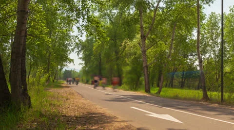 The day off in the park, Time Lapse Video stock 22774596
