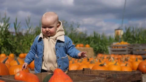 Day at pumpkin patch. Cute baby in denim jacket is picking perfect pumpkin Vídeos de archivo 139034178