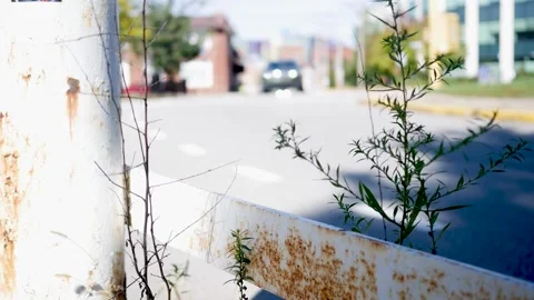 Day Scene Setter - A car drives past a gritty foreground rail in urban area Stock Footage 287520934