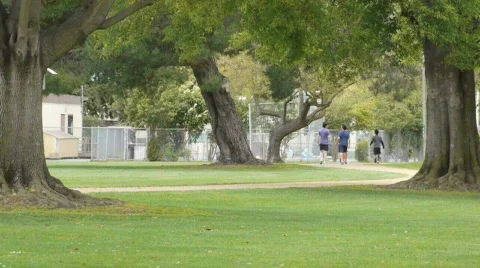 Day at school. Stock Footage 668309