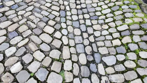 Day in Strasbourg 스톡 동영상 329005265